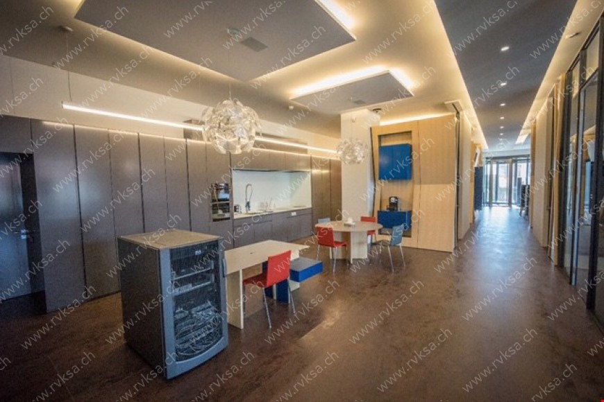 Locaux commerciaux / Lots de PPE avec mobilier