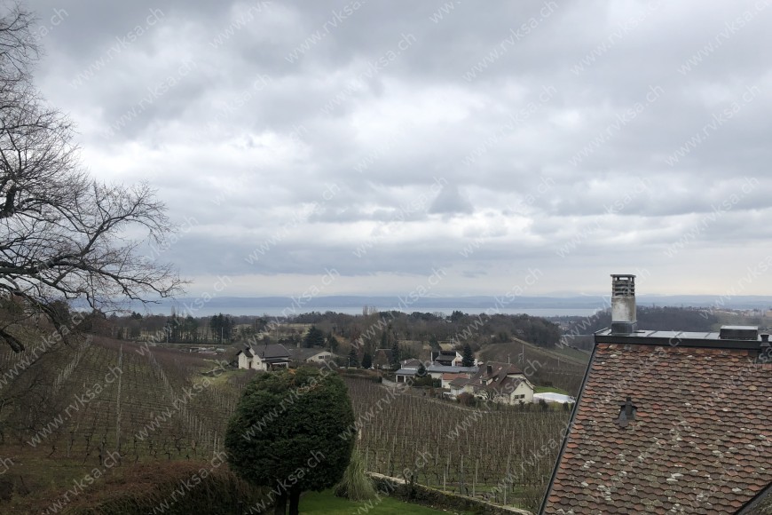 Appartement de 3 pièces, 118.63 m2, à Bôle - Vue 