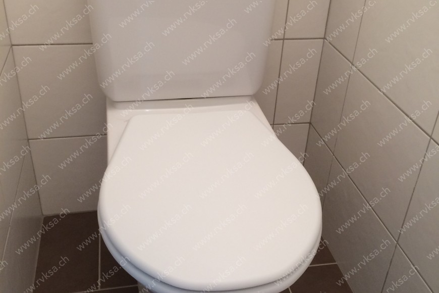 Appartement de 3 pièces, 59 m2, à Cornaux - WC séparé 