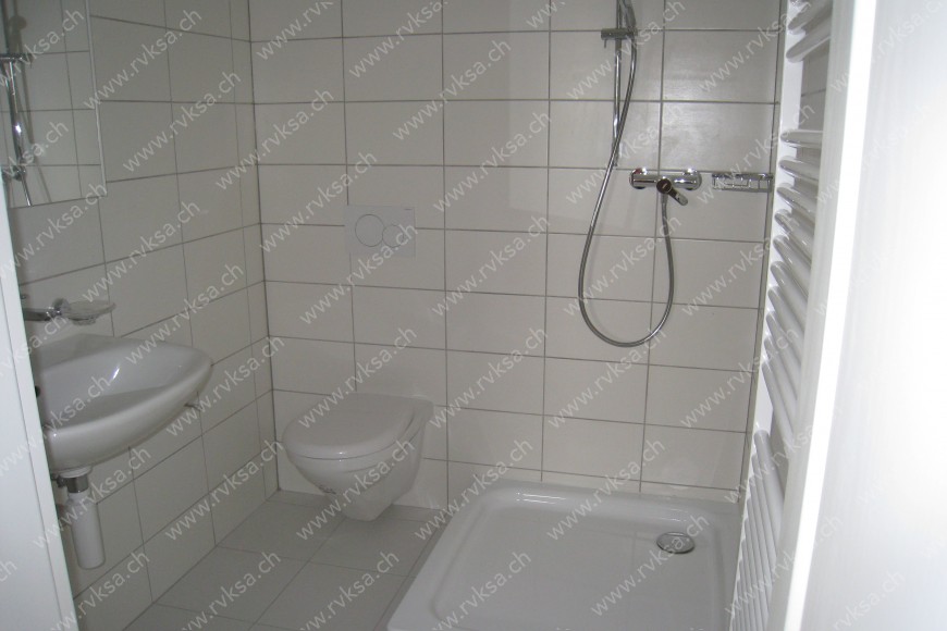 Locaux divers de 1 pièce, 20 m2, à Hauterive - Salle de bain 