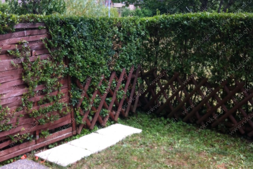 Appartement de 3 pièces, 72.25 m2, à Colombier - Balcon - terrasse 