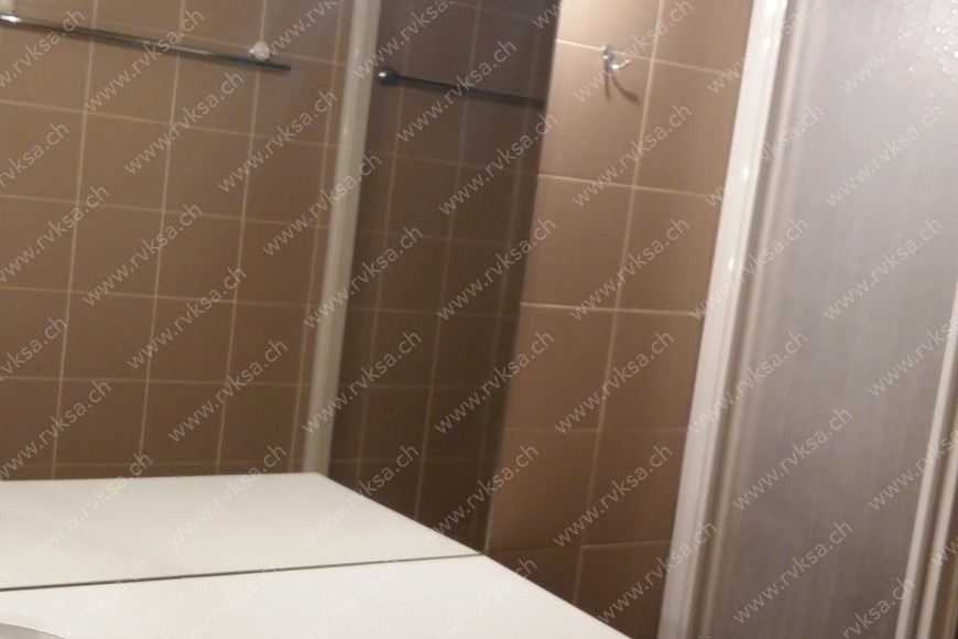 Appartement de 3.5 pièces, 52  m2, à Neuchâtel - Salle de bain 
