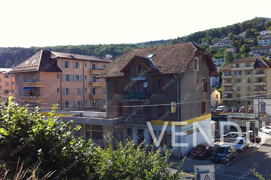 Facade Sud, depuis parc