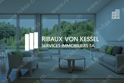 Appartement de 1 pièce, 20 m2, à Neuchâtel